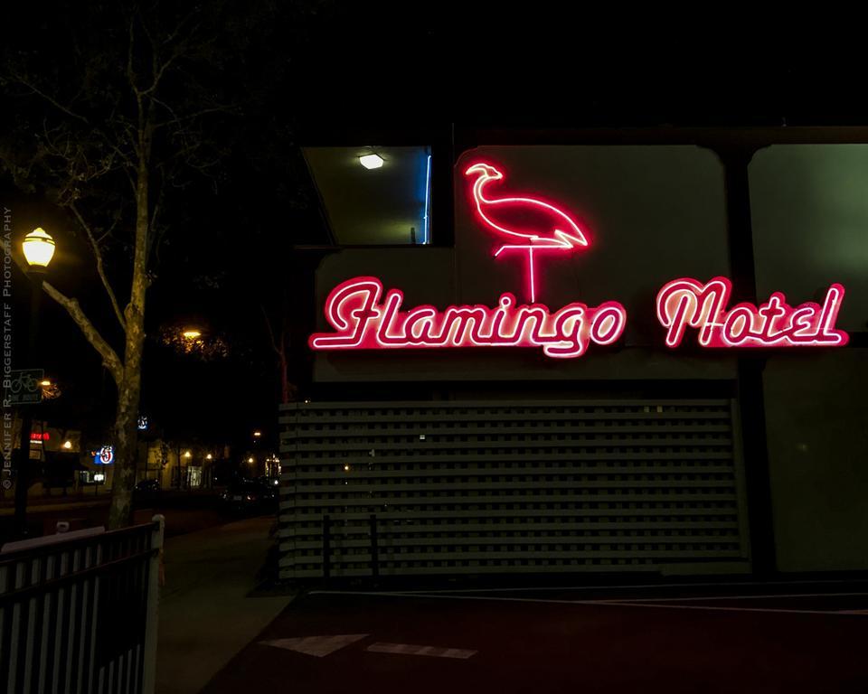 The Flamingo Motel San Jose Exterior foto