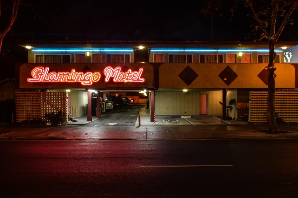 The Flamingo Motel San Jose Exterior foto