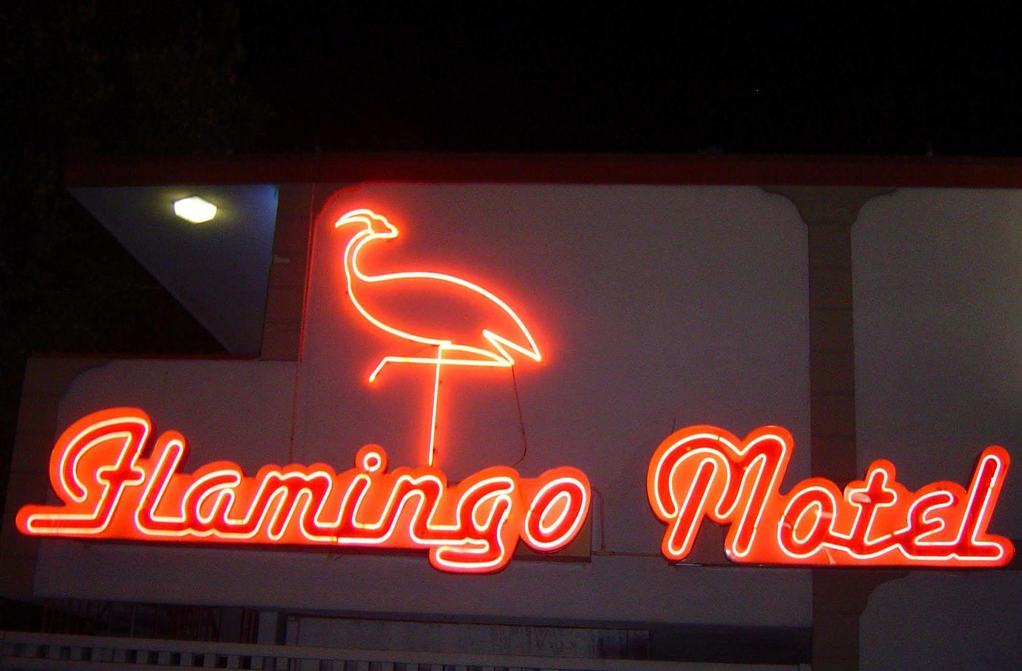 The Flamingo Motel San Jose Exterior foto